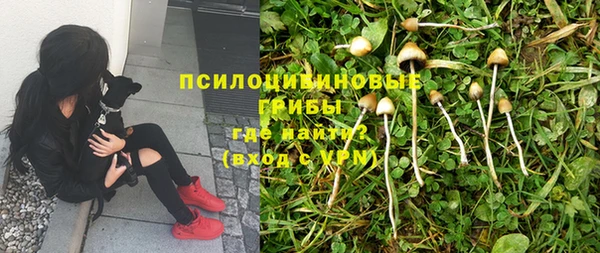 ALPHA-PVP Белокуриха